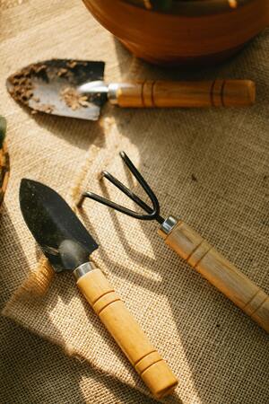 Stainless Steel Garden Trowel
